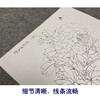 于非闇工笔花鸟白描底稿-红牡丹-斗方小品册页-YF30 商品缩略图4