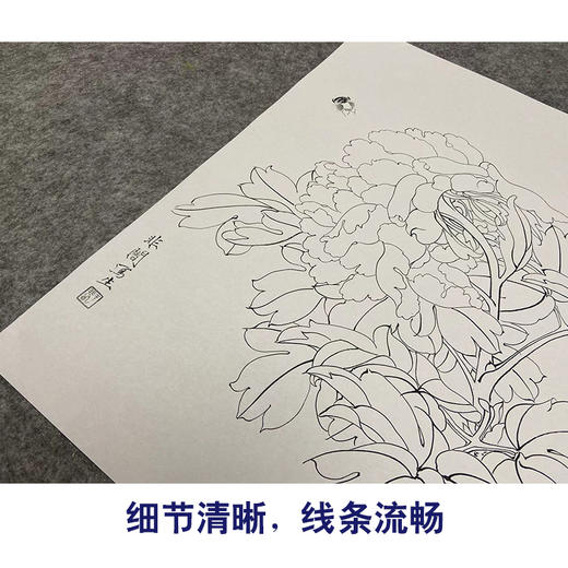 于非闇工笔花鸟白描底稿-红牡丹-斗方小品册页-YF30 商品图4