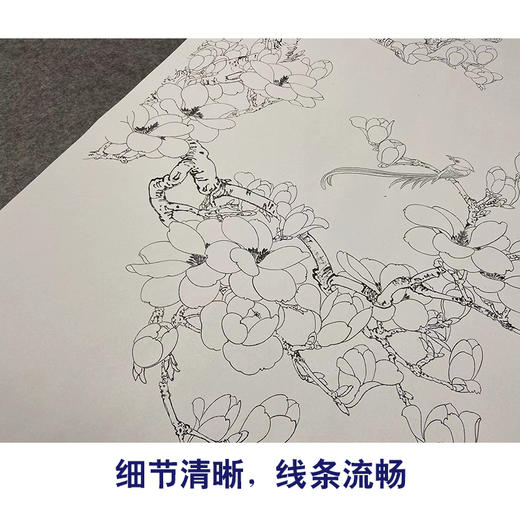 于非闇竖幅工笔花鸟白描底稿《玉兰绶带》-多种白描尺寸可选-YF08 商品图4