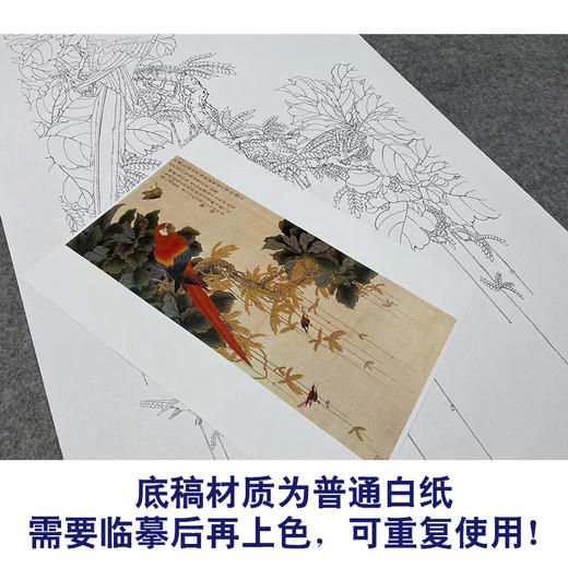 于非闇竖幅工笔花鸟白描底稿-鹦鹉-YF18 商品图3