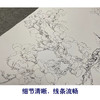 于非闇工笔花鸟白描底稿-玉兰花黄鹂-斗方小品册页-YF87 商品缩略图4