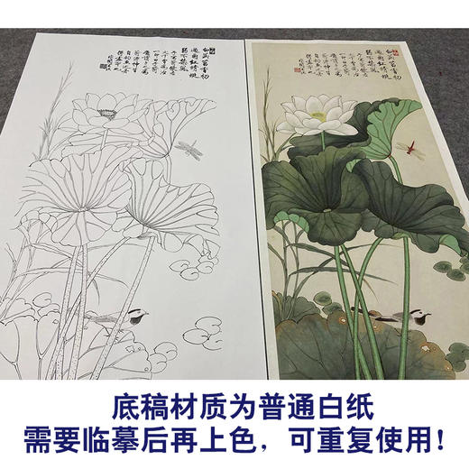 【大彩图】于非闇工笔画白描底稿《白荷蜻蜓》荷花临摹勾线高清打印稿YF06 商品图3