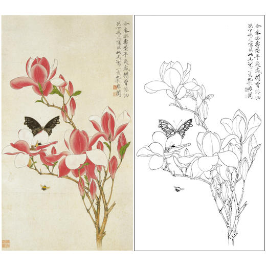 于非闇竖幅工笔花鸟白描底稿红玉兰花辛夷引蜂蝶多种白描尺寸可选yf42