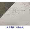 于非闇竖幅工笔花鸟白描底稿-翠鸟芙蓉花YF10 商品缩略图4