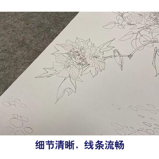 于非闇竖幅工笔花鸟白描底稿-翠鸟芙蓉花YF10 商品图4