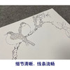 于非闇横幅工笔花鸟白描底稿-茶花斑鸠-YF20 商品缩略图4