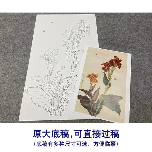 于非闇竖幅工笔花鸟白描底稿《美人蕉》-多种白描尺寸可选-YF32 商品图1