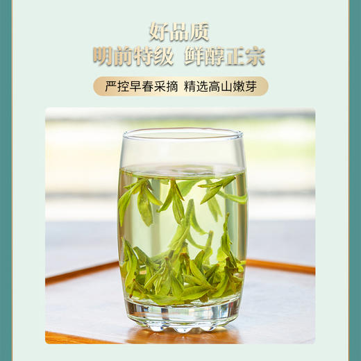 西湖工夫2022新茶龙井明前特级50g杭州味道瓷罐 商品图2