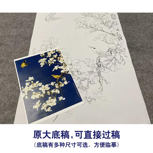 于非闇工笔花鸟白描底稿-玉兰花黄鹂-斗方小品册页-YF87 商品图1
