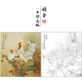 于非闇工笔花鸟白描底稿-公鸡《大吉图》斗方小品册页-多种白描尺寸可选-YF01