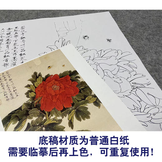 于非闇竖幅工笔花鸟白描底稿-牡丹-YF33 商品图3