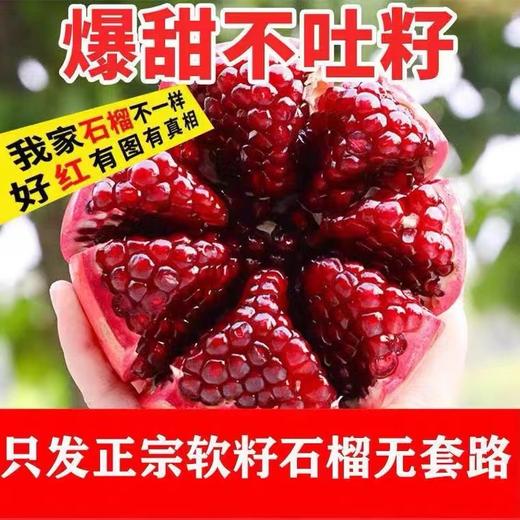 多籽乐会理软籽石榴特级果 商品图1