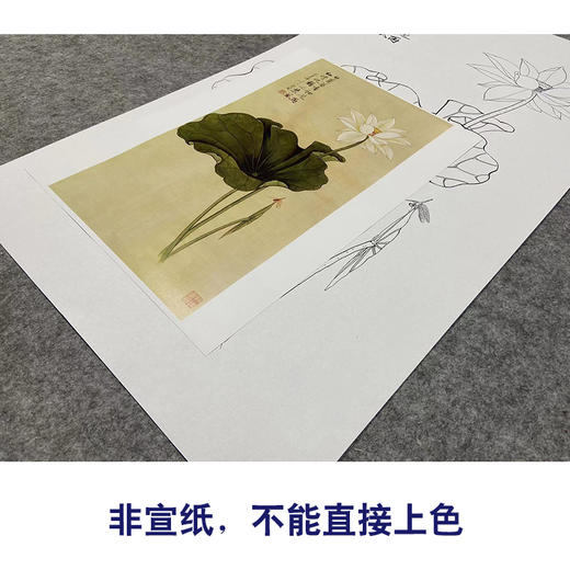 于非闇竖幅工笔花鸟白描底稿-白荷花-YF22 商品图2