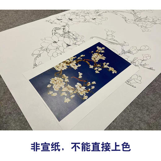 于非闇竖幅工笔花鸟白描底稿《玉兰绶带》-多种白描尺寸可选-YF08 商品图2