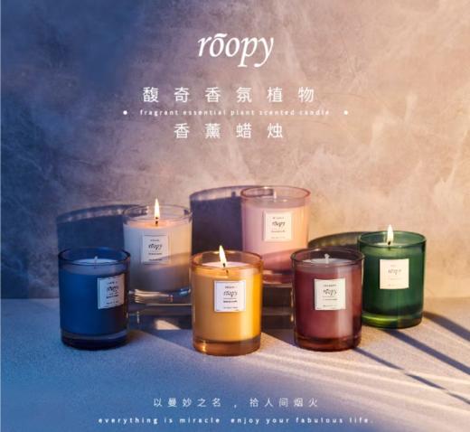roopy润培馥奇香氛植物香薰蜡烛 商品图2
