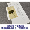 于非闇竖幅工笔花鸟白描底稿-白荷花-YF22 商品缩略图3