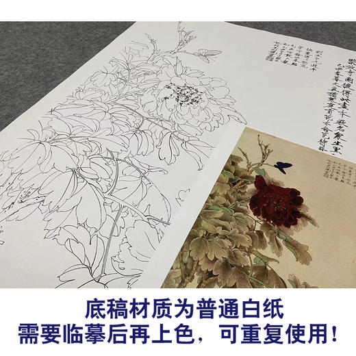 于非闇牡丹竖幅工笔花鸟白描底稿《画众生墨》-多种白描尺寸可选-YF02 商品图3
