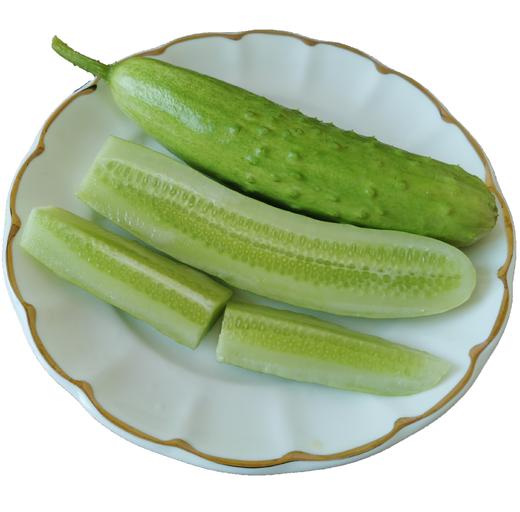 有机白玉黄瓜3斤 商品图0