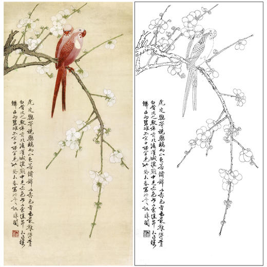 于非闇竖幅工笔花鸟白描底稿-鹦鹉梅花-红鹦白梅-YF50 商品图0