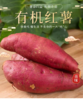 有机红薯 5斤装 商品缩略图1