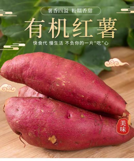 有机红薯 5斤装 商品图1