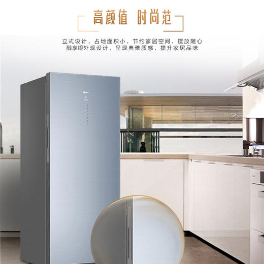 海尔BD-226WEGLU1立式冷冻柜 商品图1