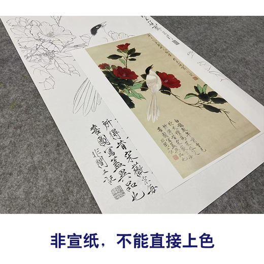 于非闇竖幅工笔花鸟白描底稿山茶花《白雀图》-多种白描尺寸可选-YF45 商品图2