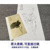 于非闇竖幅工笔花鸟白描底稿-白荷花-YF22 商品缩略图1