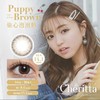 【日抛】中文版新品 日系甜美 cheritta 日抛 一盒10片 商品缩略图6