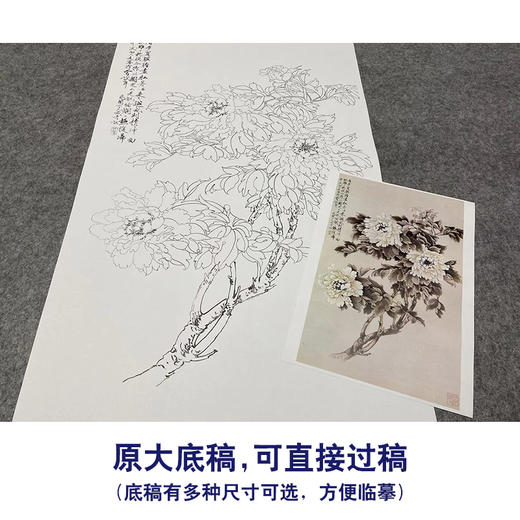 于非闇竖幅工笔花鸟白描底稿-白牡丹-YF05 商品图1