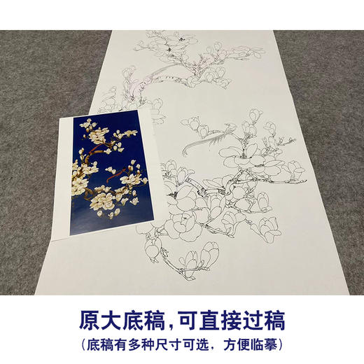 于非闇竖幅工笔花鸟白描底稿《玉兰绶带》-多种白描尺寸可选-YF08 商品图1
