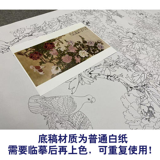 于非闇竖幅工笔花鸟白描底稿-牡丹双鸽-YF76 商品图3