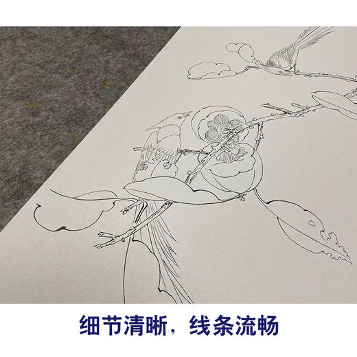 于非闇竖幅工笔花鸟白描底稿-柿子-事事如意《红柿绶带》-多种白描尺寸可选-YF49 商品图4