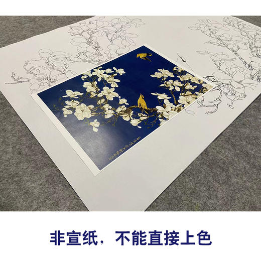 于非闇工笔花鸟白描底稿-玉兰花黄鹂-斗方小品册页-YF87 商品图2