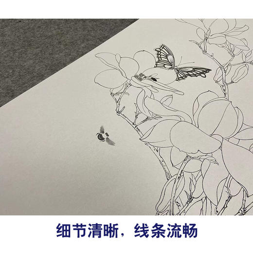 于非闇竖幅工笔花鸟白描底稿-红玉兰花《辛夷引蜂蝶》-多种白描尺寸可选-YF42 商品图4