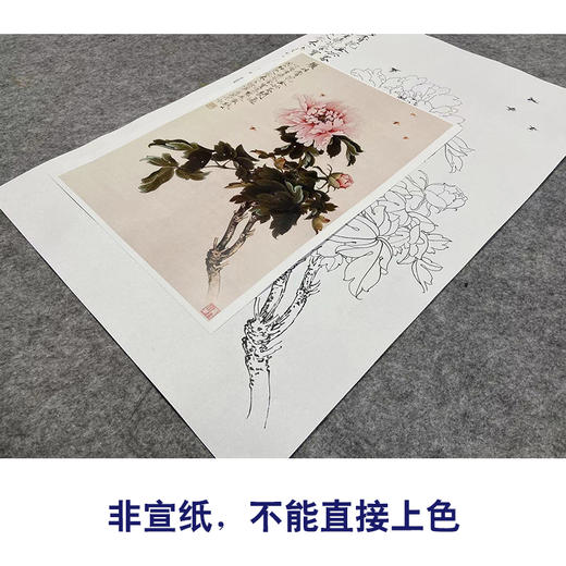 于非闇竖幅工笔花鸟白描底稿-粉牡丹-YF28 商品图2