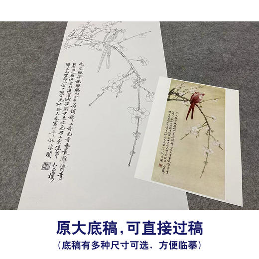 于非闇竖幅工笔花鸟白描底稿-鹦鹉梅花-红鹦白梅-YF50 商品图1