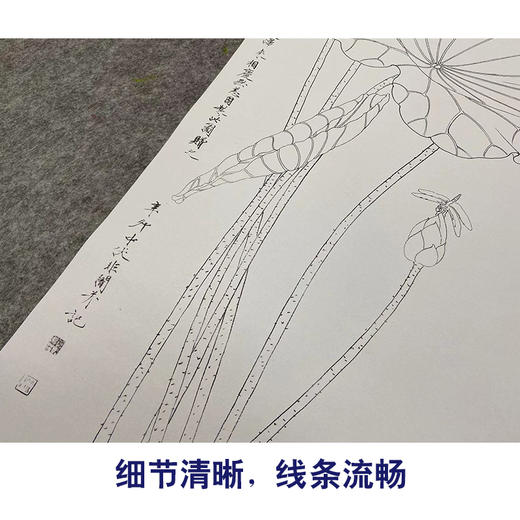 于非闇竖幅工笔花鸟白描底稿-荷花《亭亭玉立》-多种白描尺寸可选-YF39 商品图4