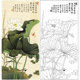 【大彩图】于非闇工笔画白描底稿《白荷蜻蜓》荷花临摹勾线高清打印稿YF06