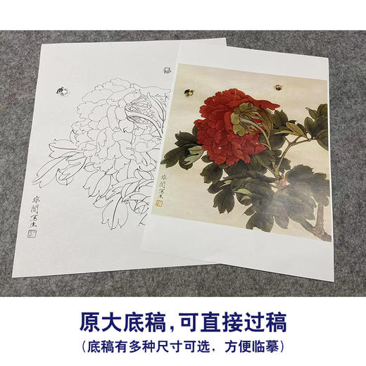 于非闇工笔花鸟白描底稿-红牡丹-斗方小品册页-YF30 商品图1