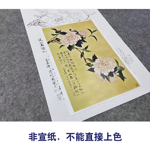 于非闇竖幅工笔花鸟白描底稿《云南山茶》-多种白描尺寸可选-YF43 商品图2