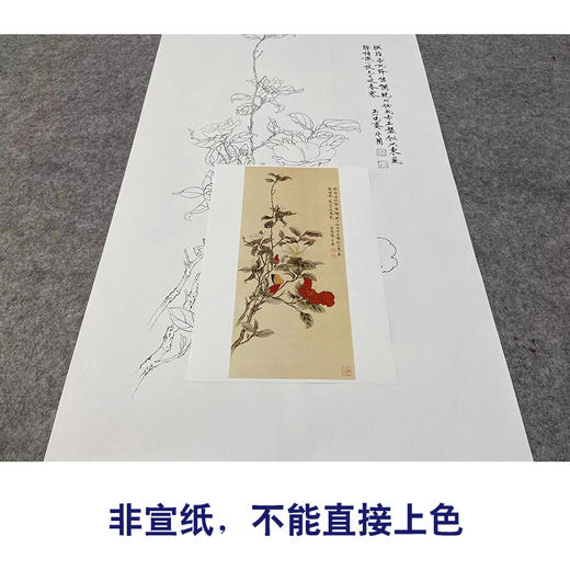 【大彩图】于非闇工笔画白描底稿《红白山茶》山茶花临摹勾线高清打印稿YF03 商品图2