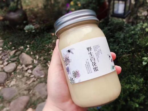 猫太推荐—来自云南朋友的野生蜂蜜 商品图0