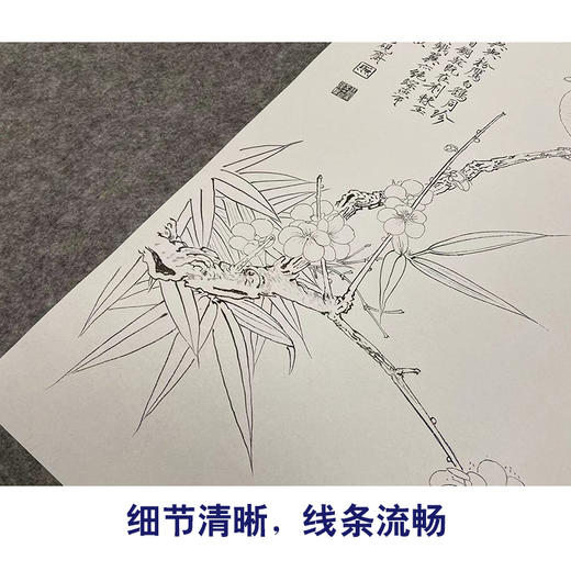 于非闇竖幅工笔花鸟白描底稿《梅竹伯劳图》-多种白描尺寸可选-YF52 商品图4