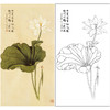 于非闇竖幅工笔花鸟白描底稿-白荷花-YF22 商品缩略图0