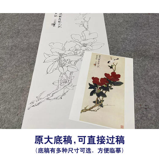 于非闇竖幅工笔花鸟白描底稿《山茶伯劳》-多种白描尺寸可选-YF54 商品图1