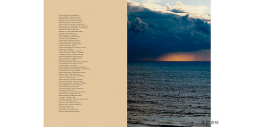 Gull Juju: Photographs from the Farallon Islands /海鸥护符：来自法拉隆群岛的照片 商品图1