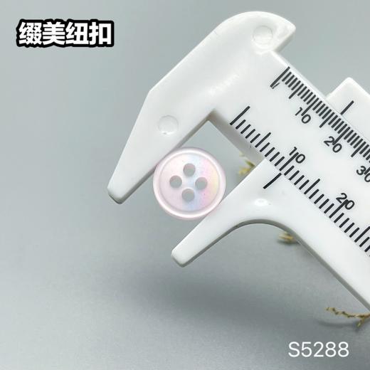 S5288(整包购买) 商品图7