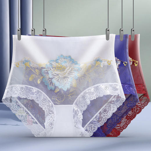 PDD-XXNY201218新款时尚性感高腰收腹无痕蕾丝刺绣三角内裤 商品图5