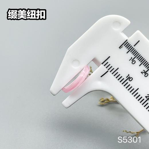 S5301(整包购买) 商品图11